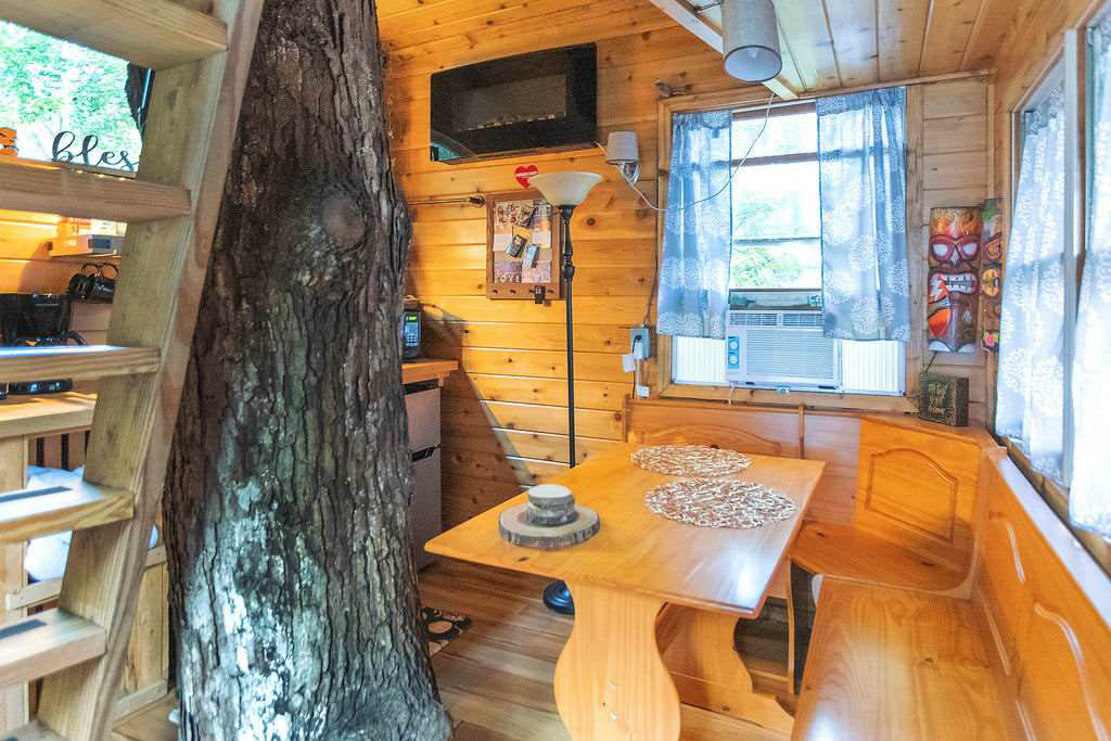 treehouse dining area and central tree trunk
