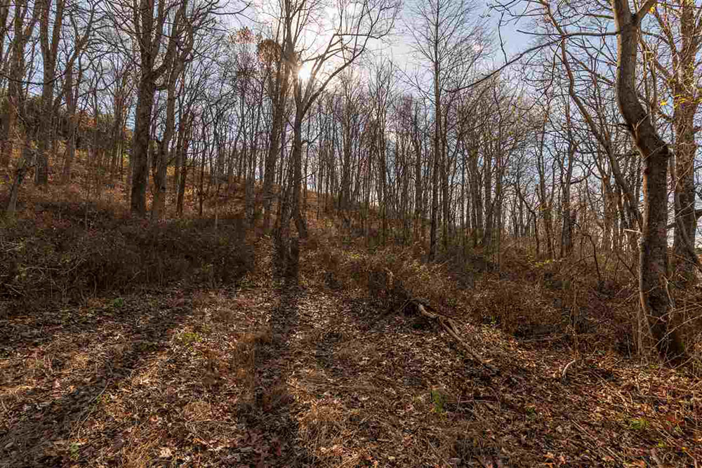 Mckamy Springs 28 acres partially wooded